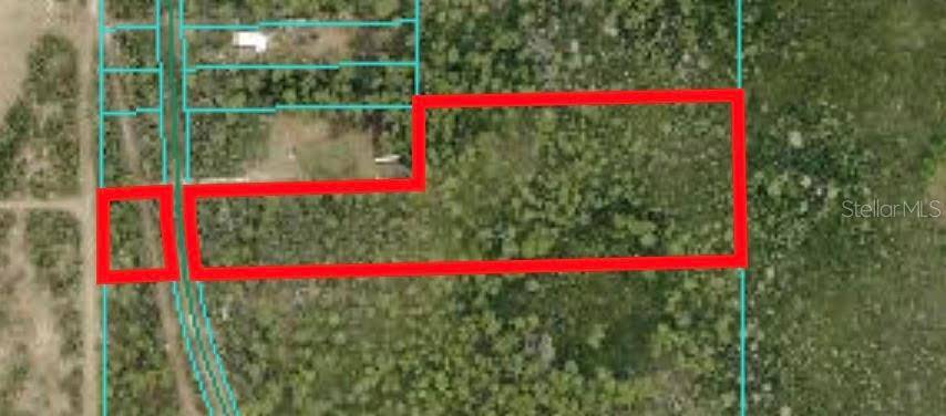 Fort Mc Coy, FL 32134,TBD NE 130 COURT RD