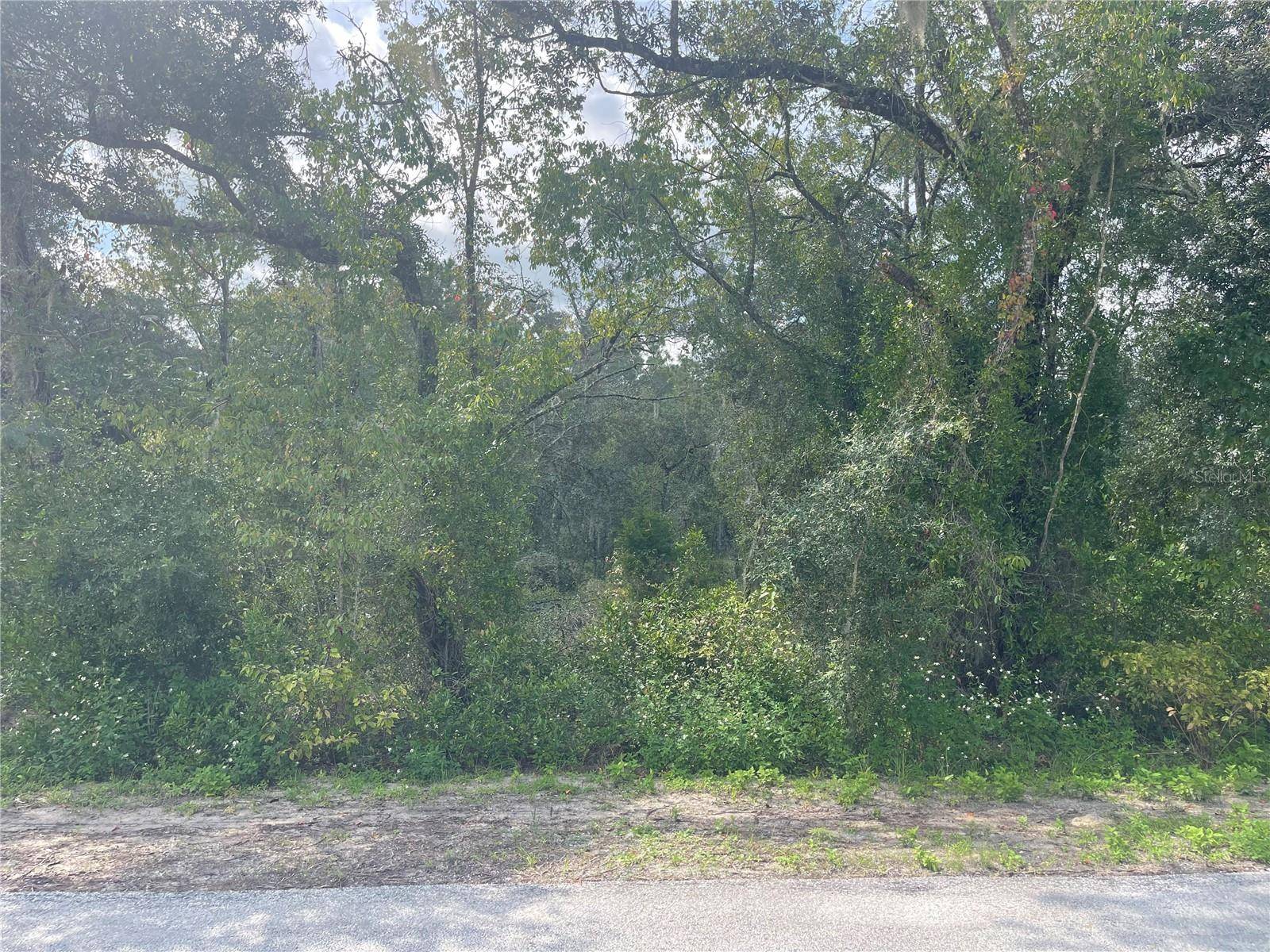 Dunnellon, FL 34431,00000 NW MALLARD AVE