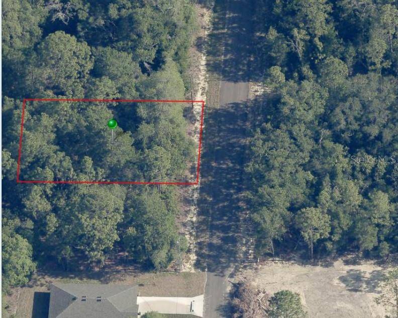 Citrus Springs, FL 34433,8862 N SPARTAN DR