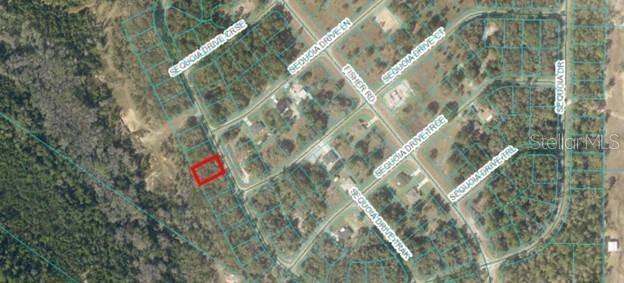 Ocklawaha, FL 32179,00 SEQUIOA DR