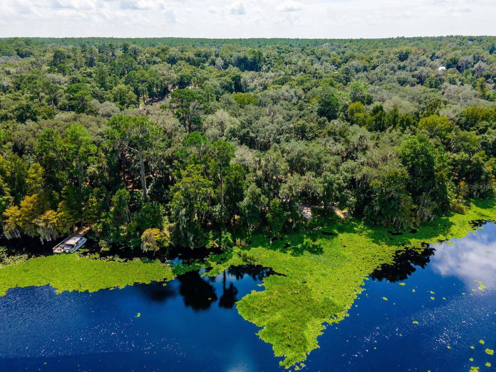 Fort Mc Coy, FL 32134,24750 NE 177TH TER