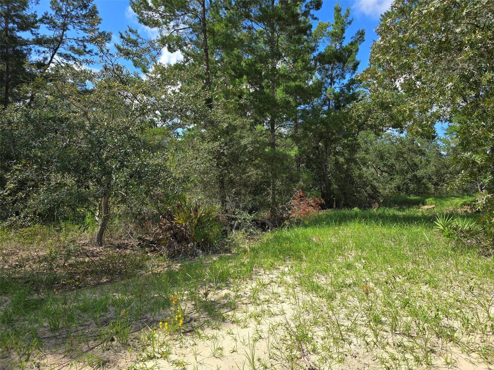 Homosassa, FL 34446,19 CANDYTUFT CT