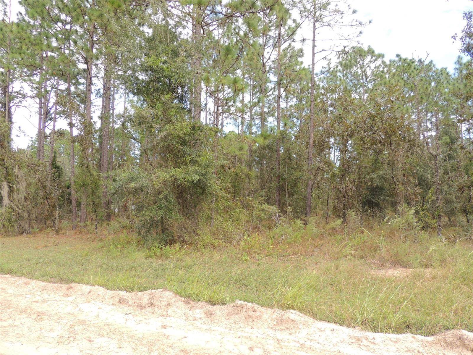 Williston, FL 32696,291 NE 135TH CT