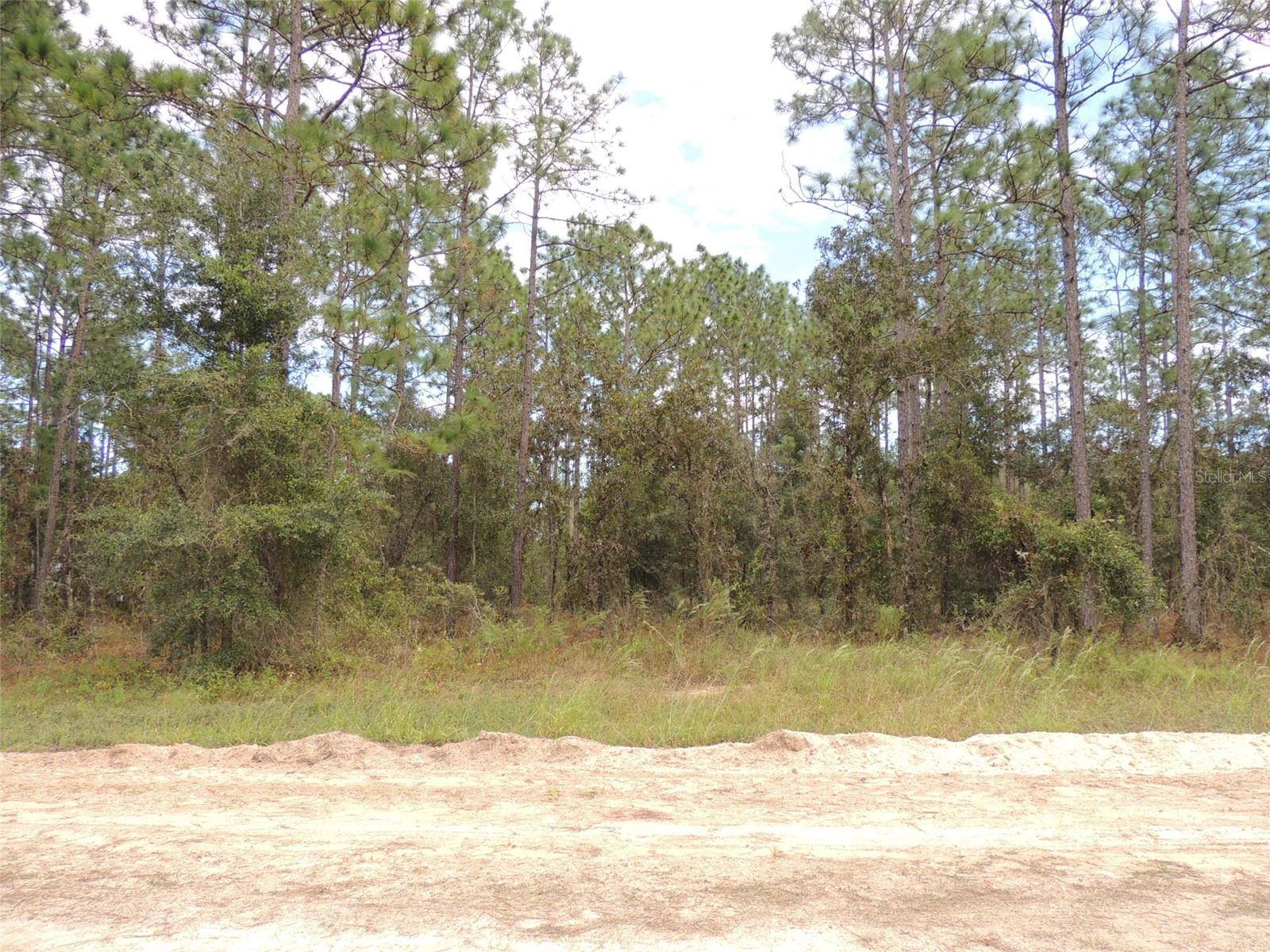 Williston, FL 32696,291 NE 135TH CT