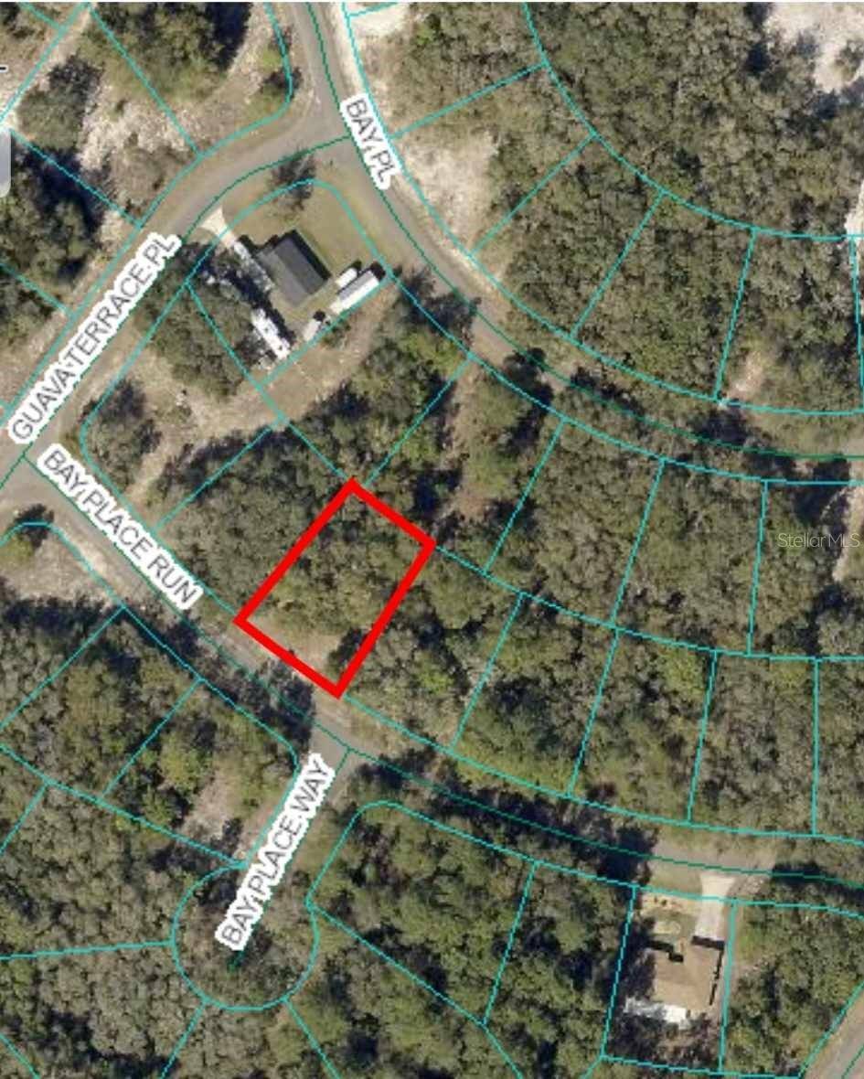 Ocklawaha, FL 32183,00 BAY PLACE RUN
