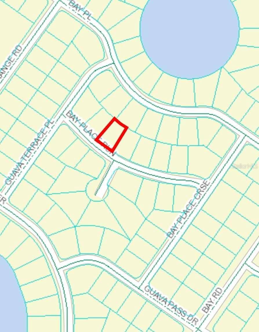 Ocklawaha, FL 32183,00 BAY PLACE RUN