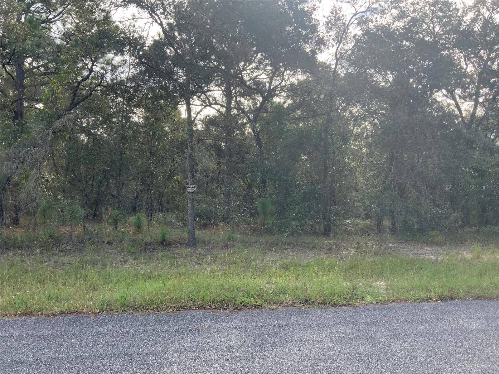 Morriston, FL 32668,SE SE 39TH ST LOT 33 ST