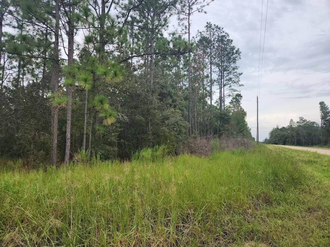 Dunnellon, FL 34432,SW 125TH CT RD