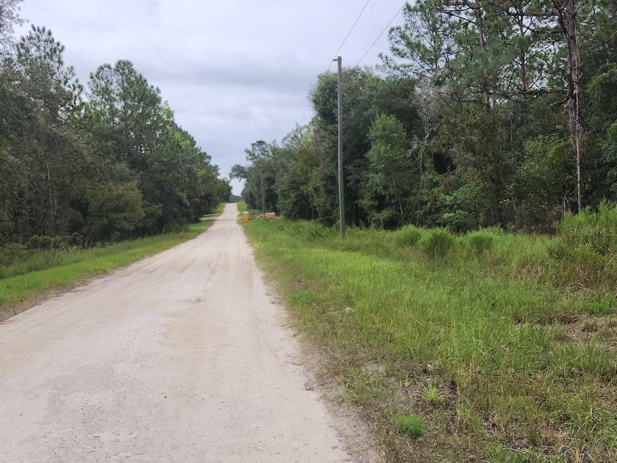 Dunnellon, FL 34432,SW 89TH ST