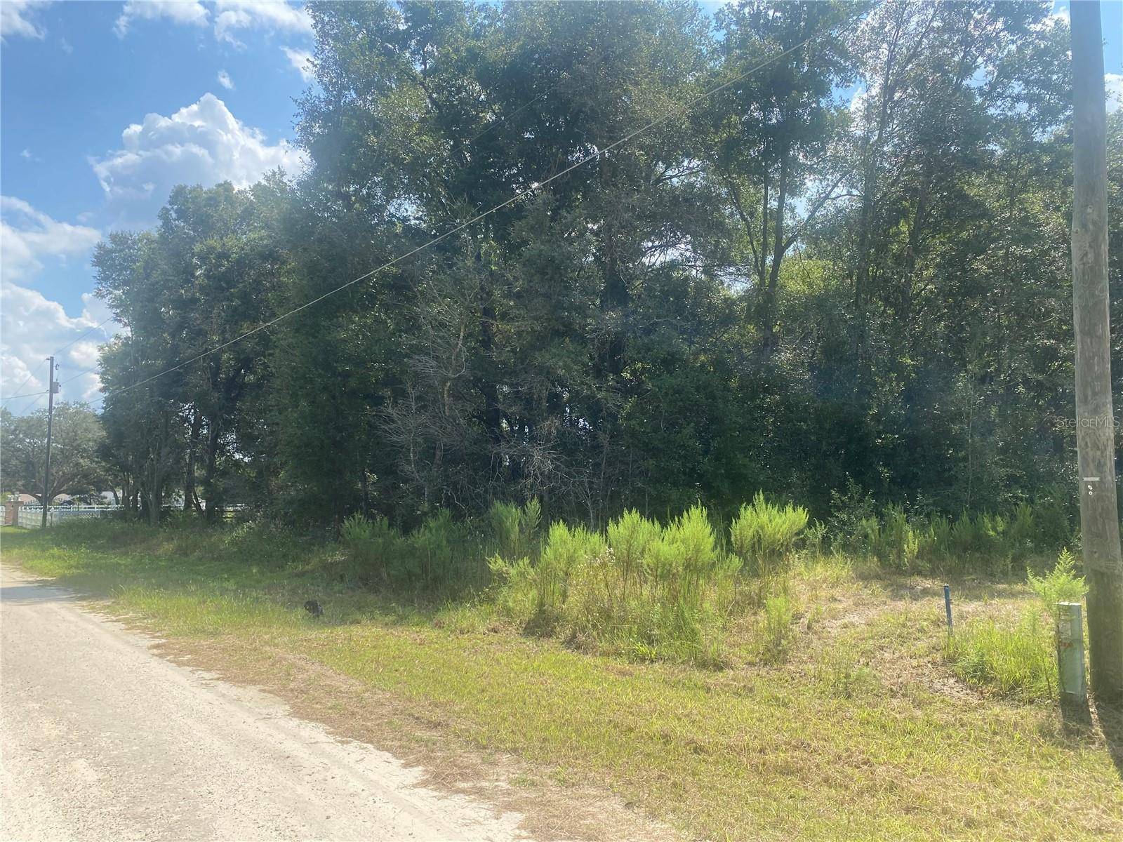 Dunnellon, FL 34432,SW 115th place NONE