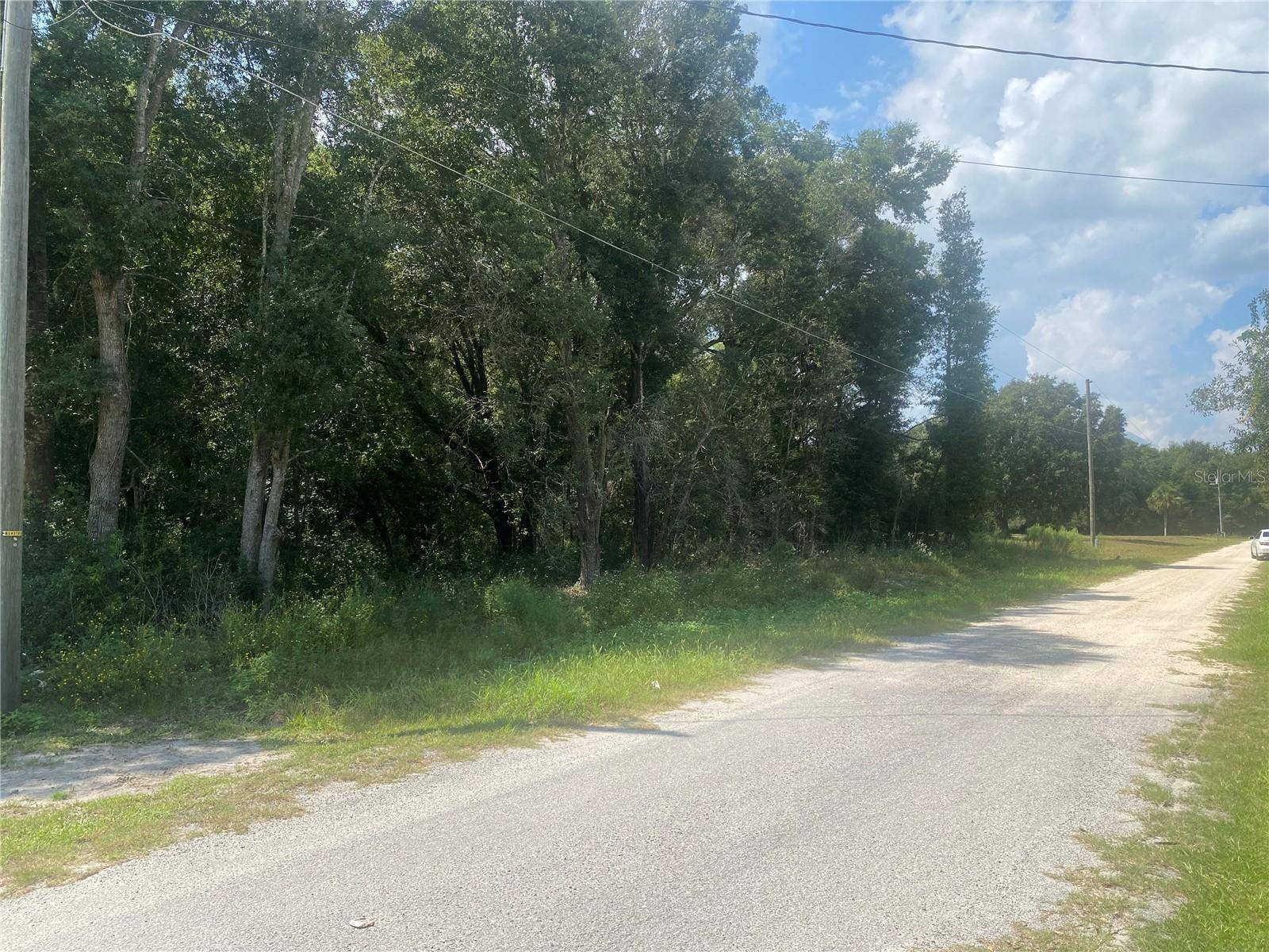 Dunnellon, FL 34432,SW 115th place NONE