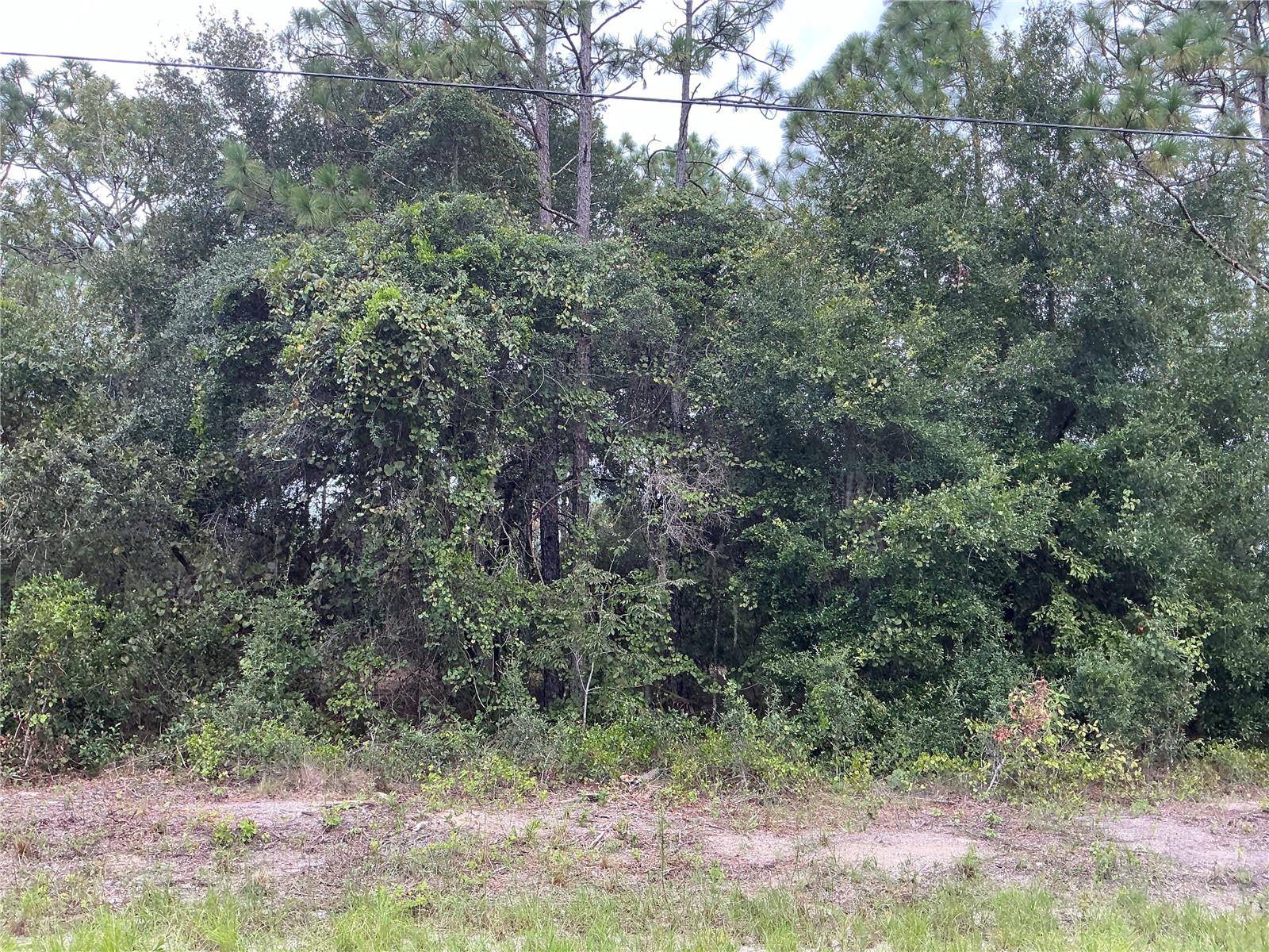 Dunnellon, FL 34431,SW JONQUIL CT