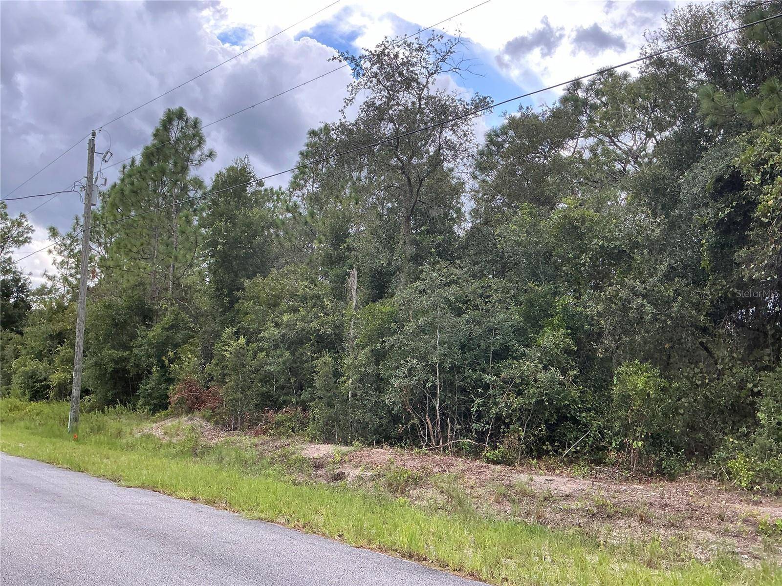 Dunnellon, FL 34431,SW JONQUIL CT