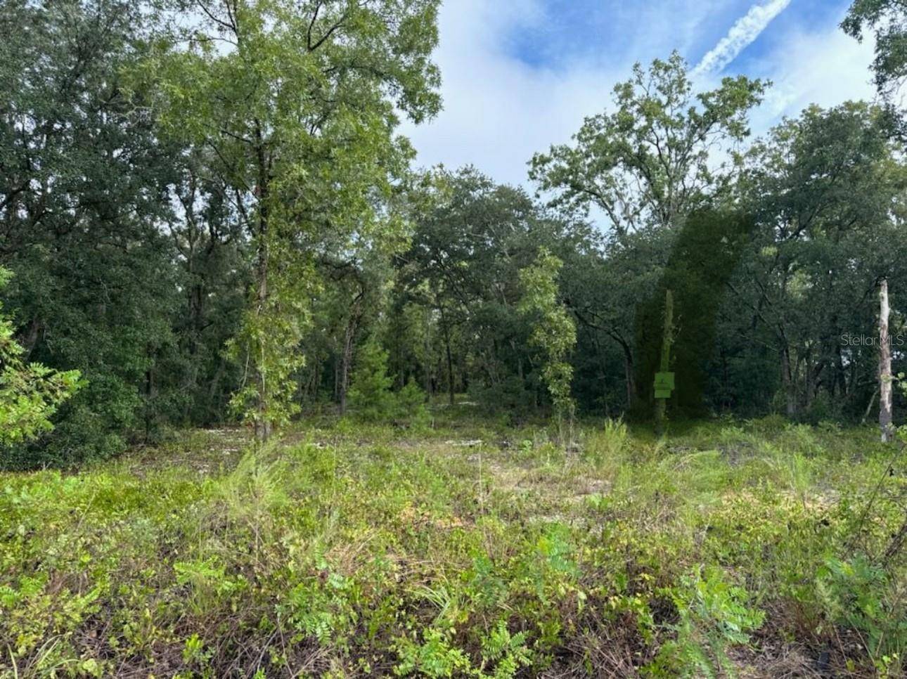 Ocklawaha, FL 32179,0 GUAVA PLACE PASS #Lot #10