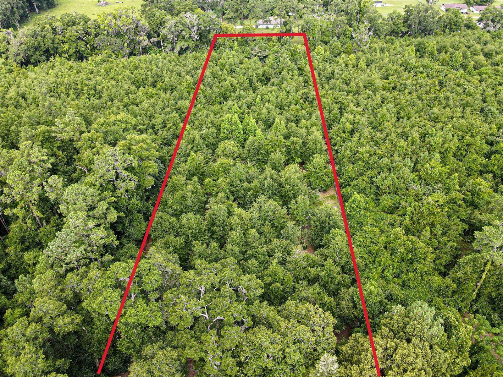 Belleview, FL 34420,TBD SE 122ND PL