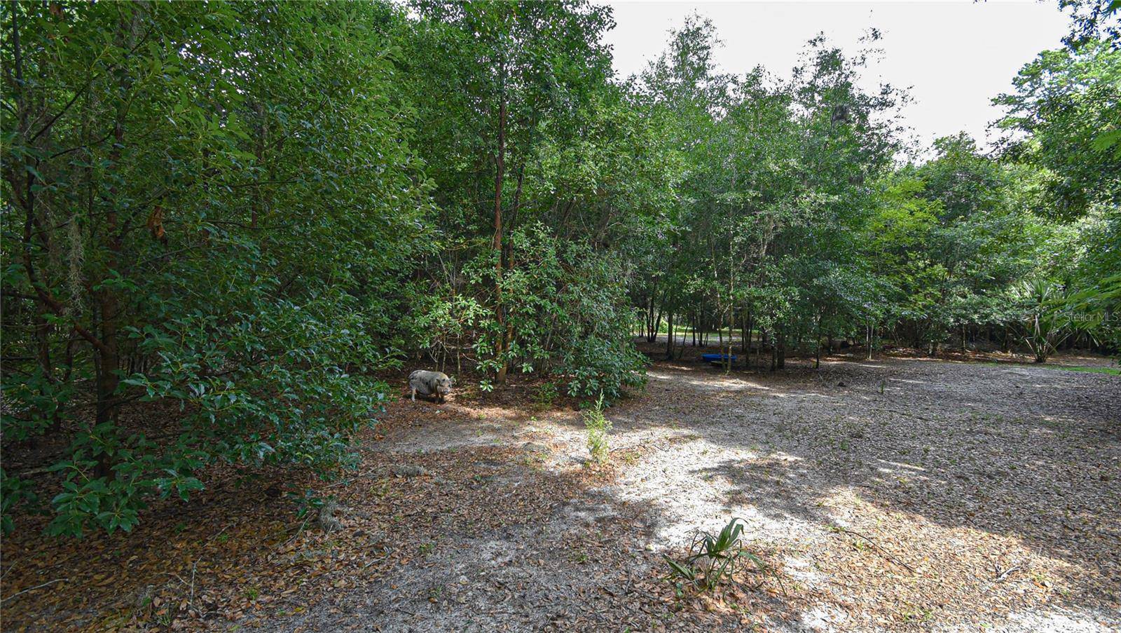 Belleview, FL 34420,TBD SE 122ND PL