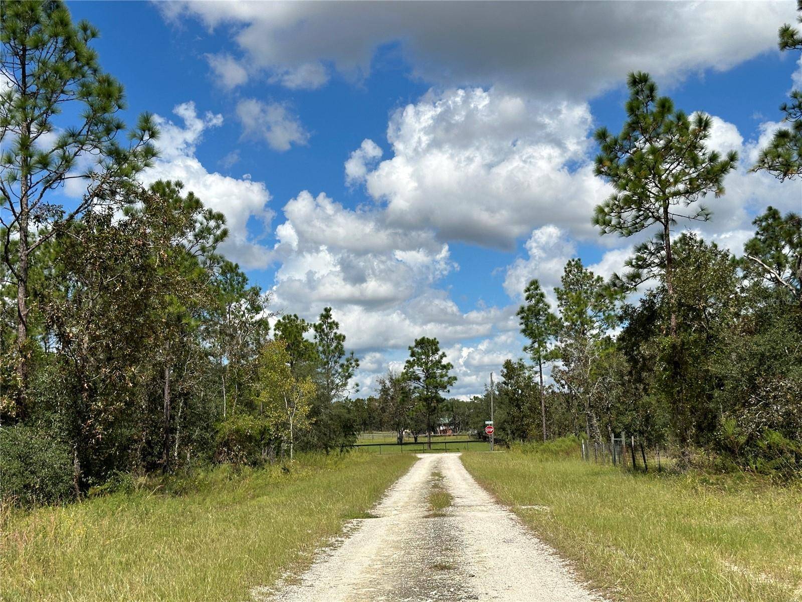 Dunnellon, FL 34431,TBD SE 136TH AVE