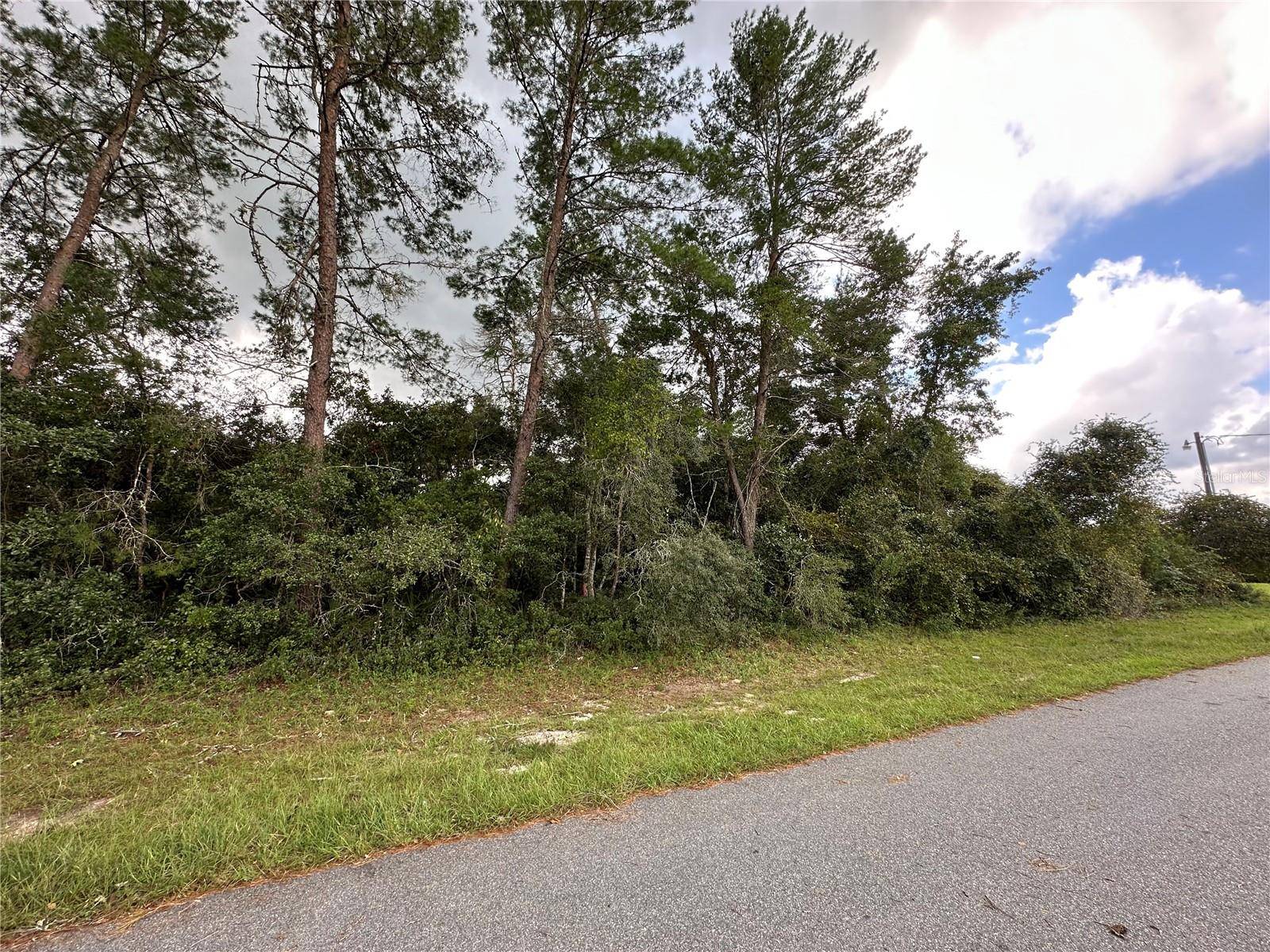 Ocala, FL 34473,0 SW 131ST PLACE RD