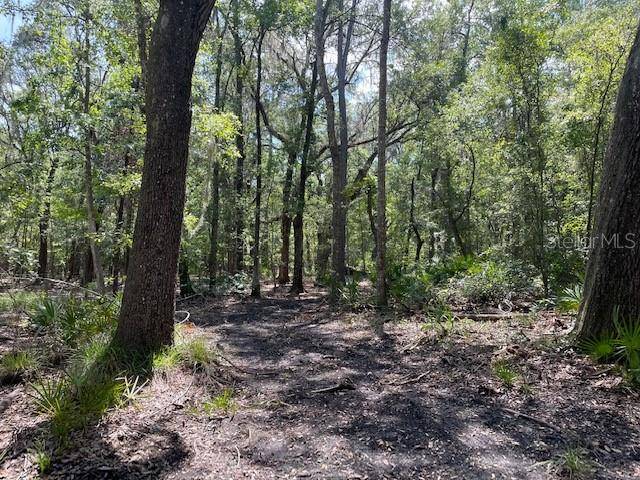 Melrose, FL 32666,TBD PINE TREE LN