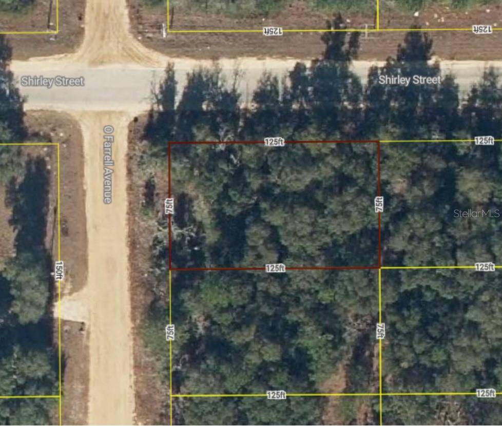 Interlachen, FL 32148,Lot 1 O'FARRELL AVE