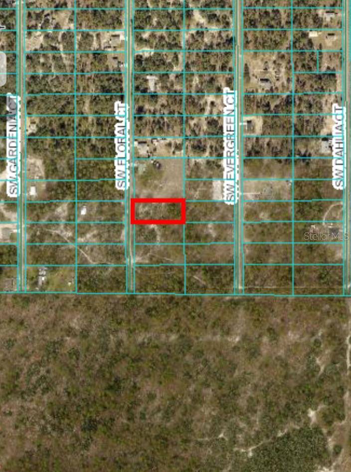 Dunnellon, FL 34431,lot 21 SW FLORAL CT