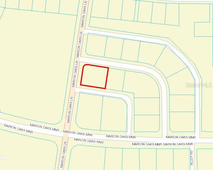 Ocala, FL 34473,TBD MARION OAKS LN