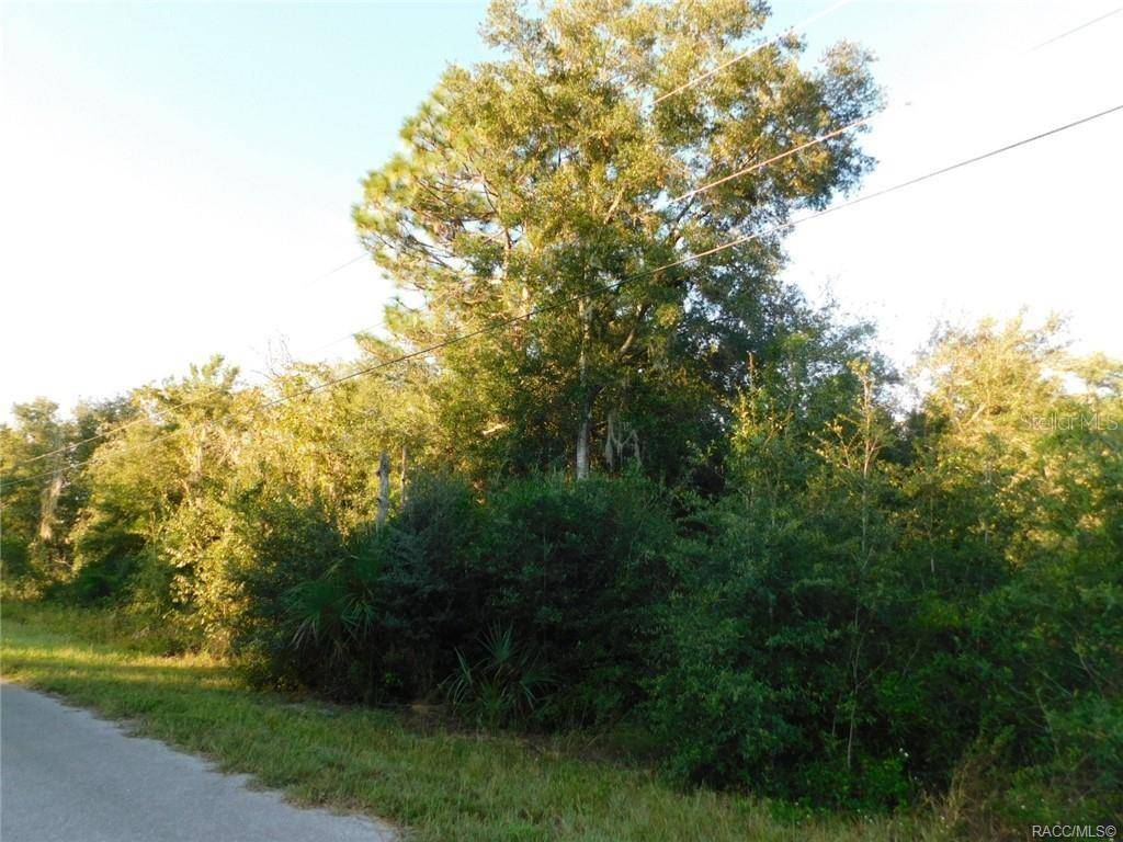 Dunnellon, FL 34433,11708 N BELLUZZI TER