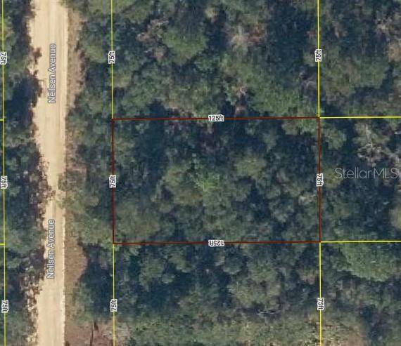 Interlachen, FL 32148,Lot 17 NEILSEN AVE