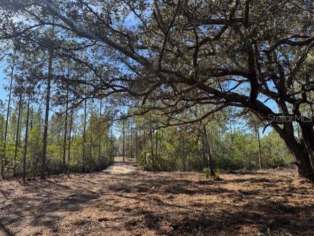 Fort Mc Coy, FL 32134,11901 NE 150TH AVE RD