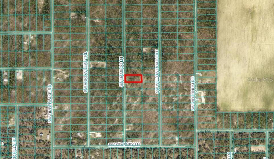 Dunnellon, FL 34431,SW BAMBOO LN