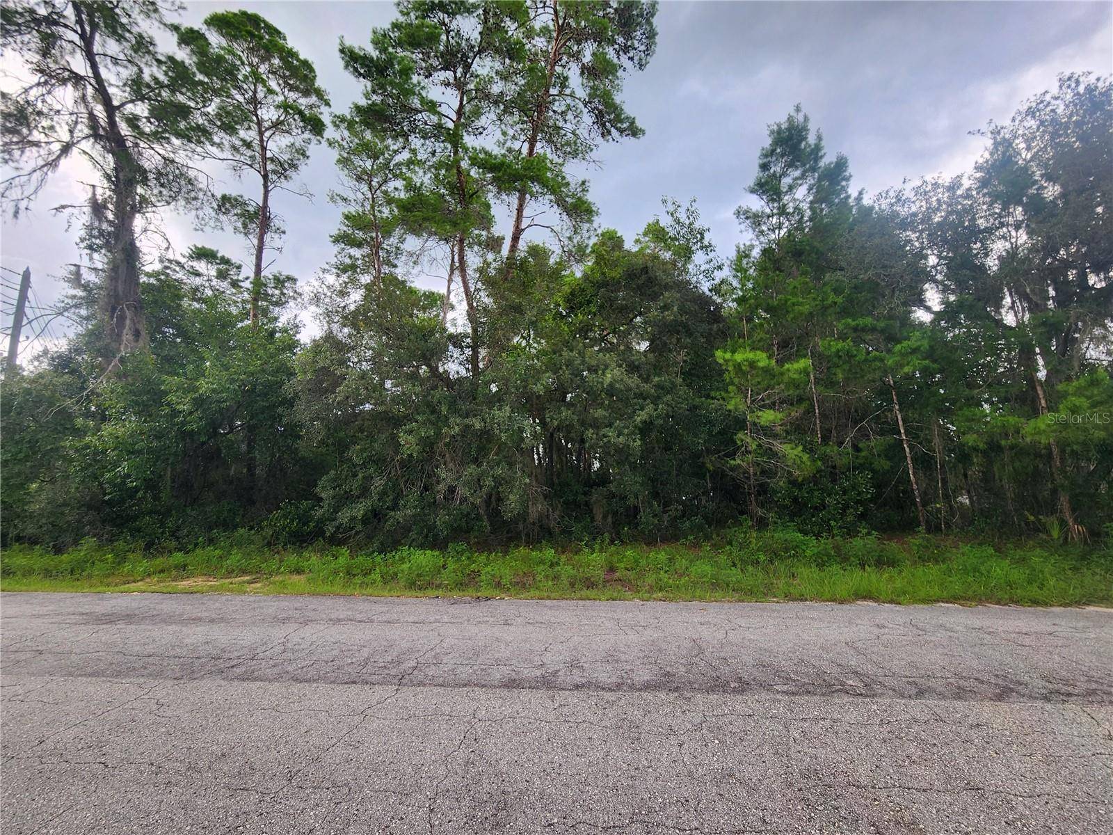 Inverness, FL 34452,3008 CLEARWOOD ST