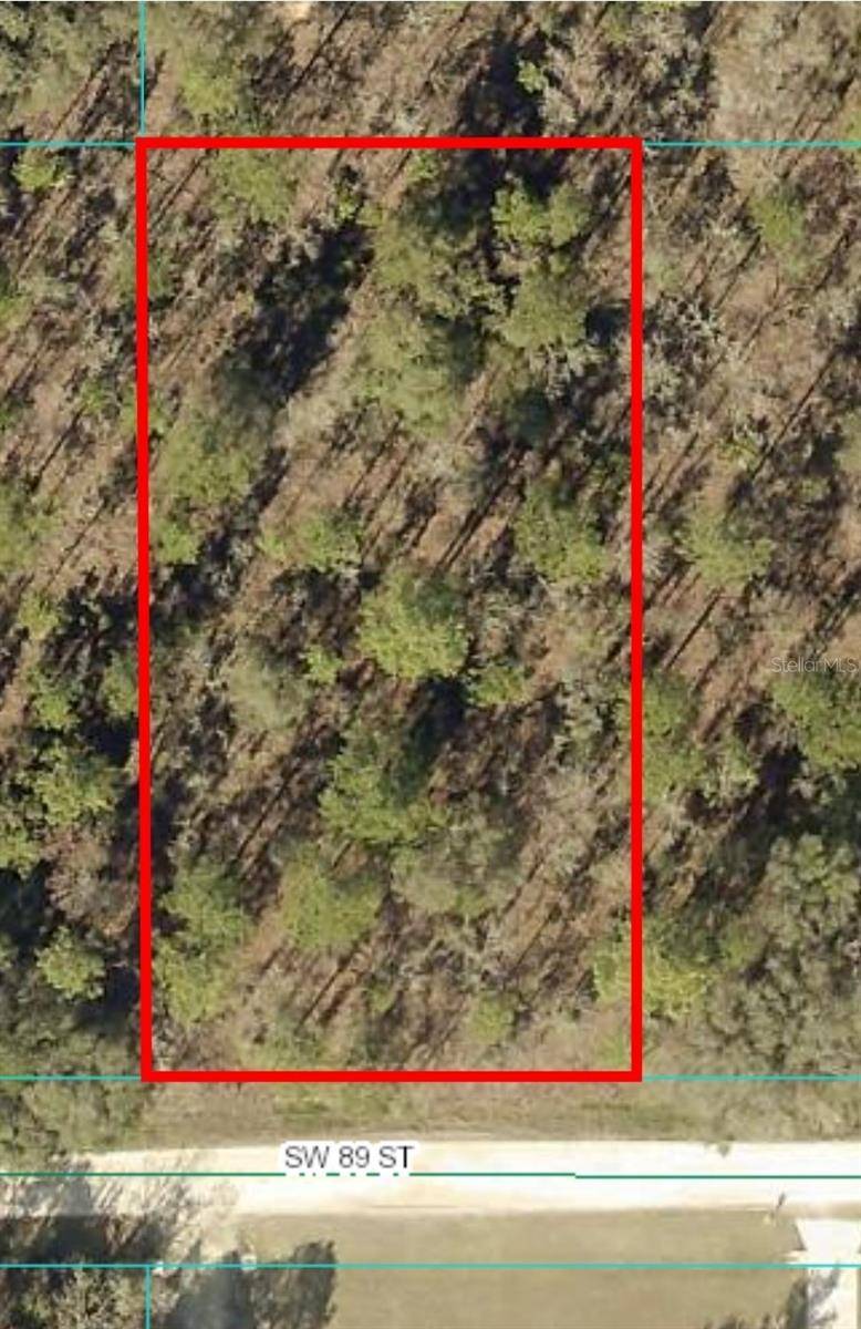 Dunnellon, FL 34432,TBD SW 89TH ST