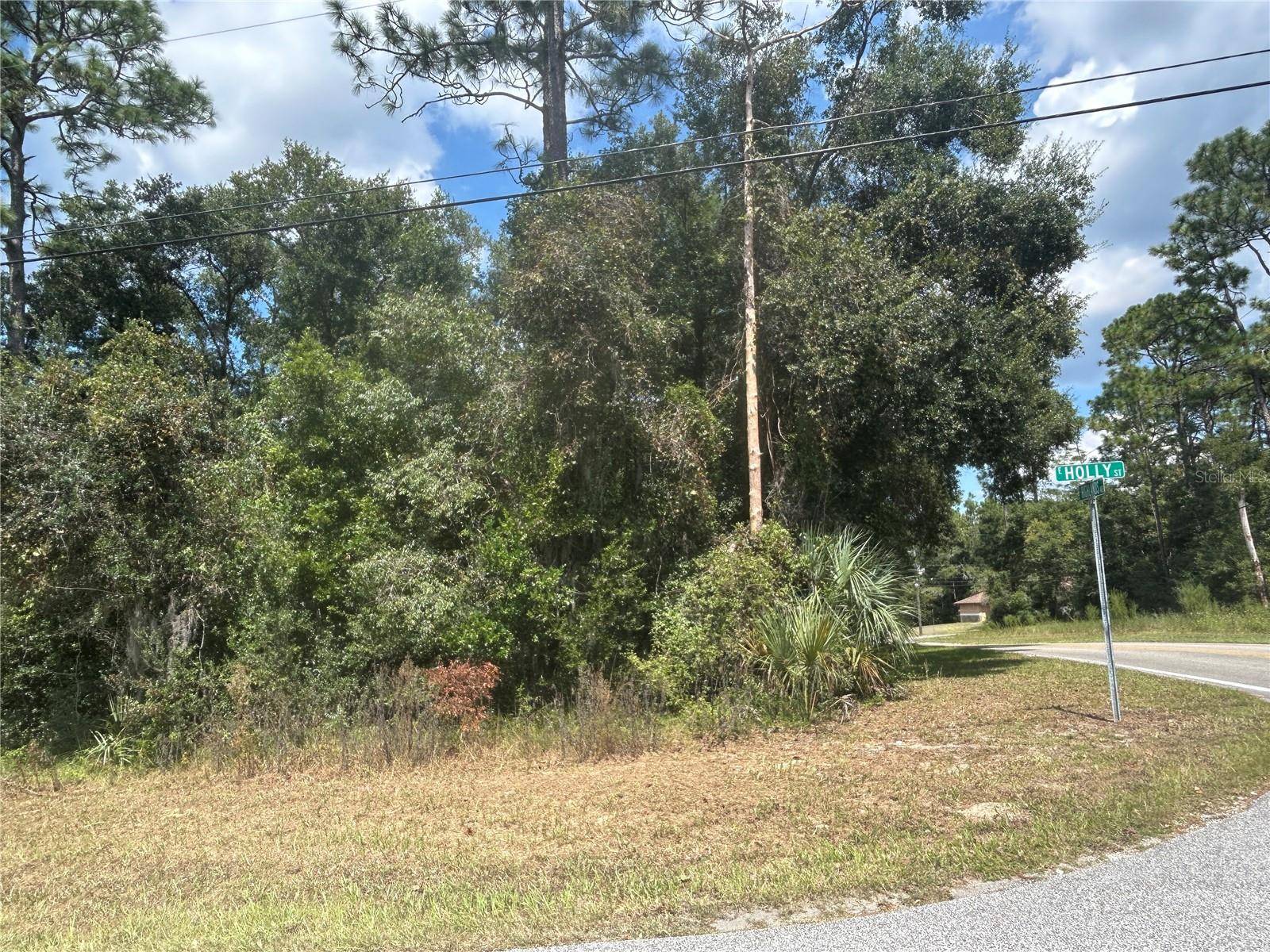 Inverness, FL 34452,6550 E GURLEY ST