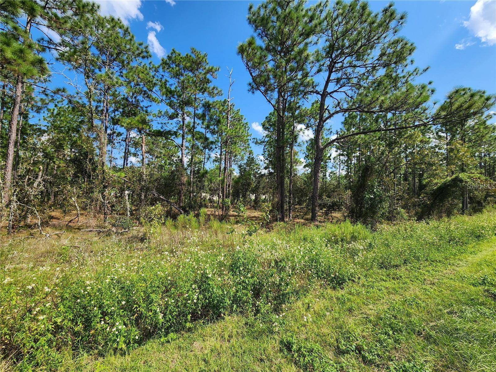 Dunnellon, FL 34431,TBD SW RIDGEWOOD RD