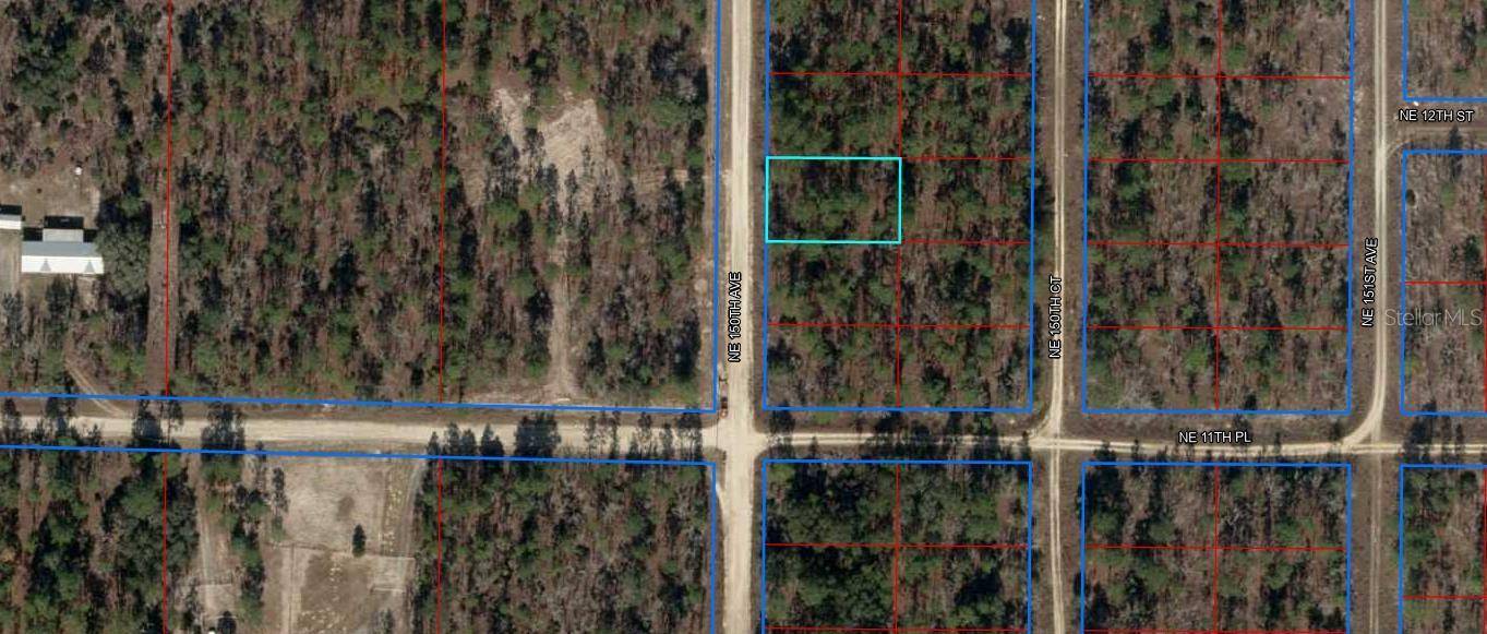 Williston, FL 32696,0 NE 150TH AVE