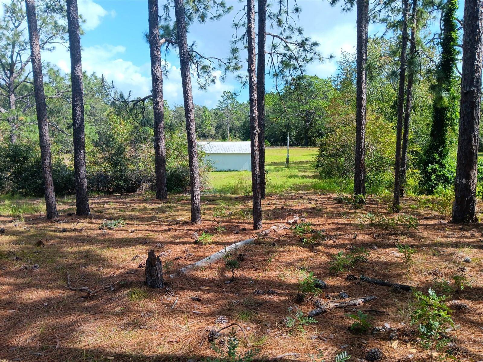 Morriston, FL 32668,2750 SE 151ST AVE