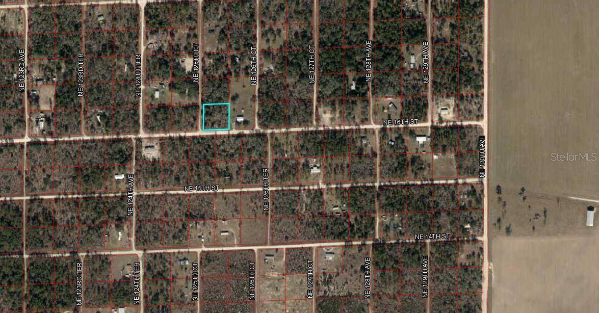 Williston, FL 32696,1621 NE 125TH CT