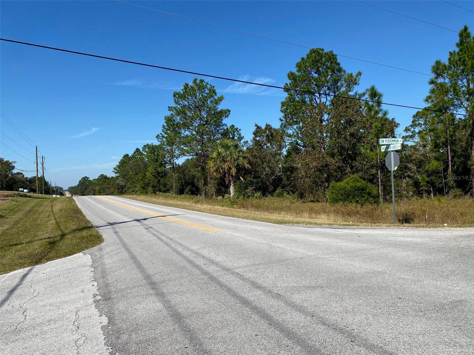 Dunnellon, FL 34431,TBD SW RAINBOW LAKES BLVD