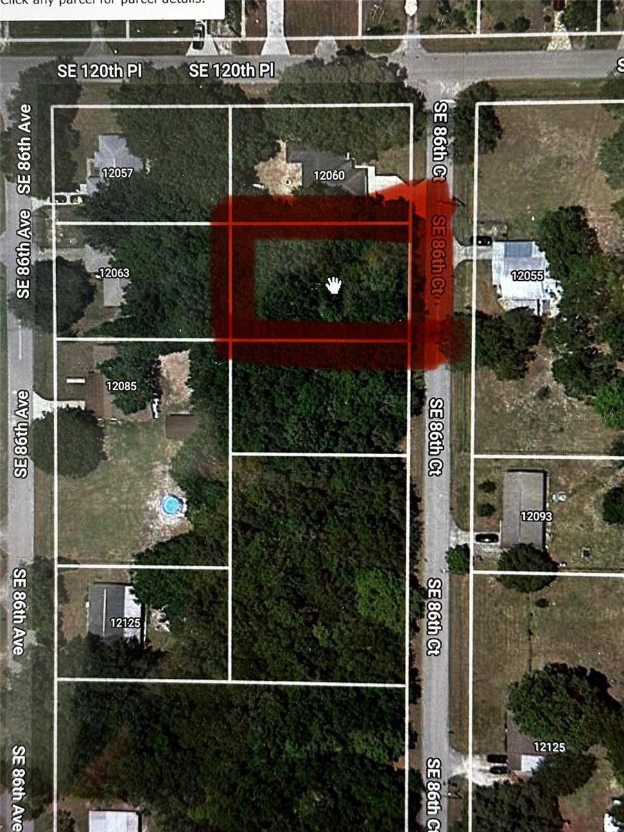 Belleview, FL 34420,SE 86TH CT