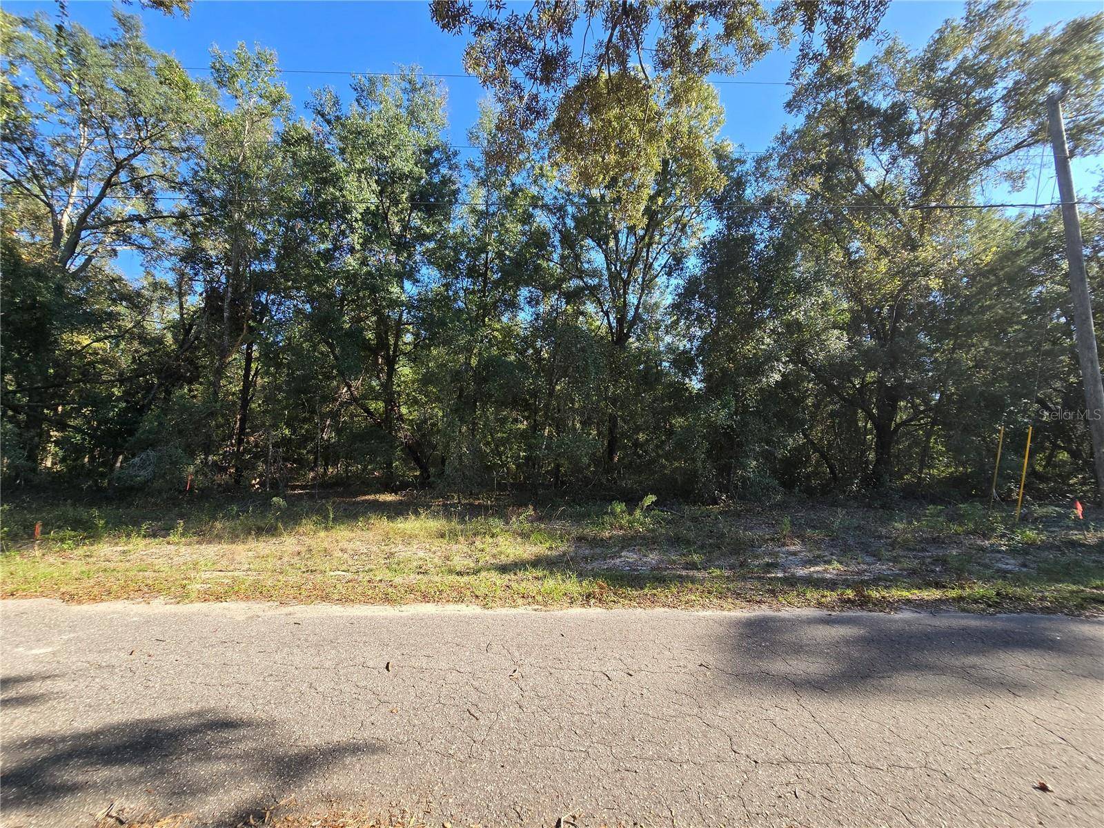 Ocklawaha, FL 32179,TBD FISHER LANE CT