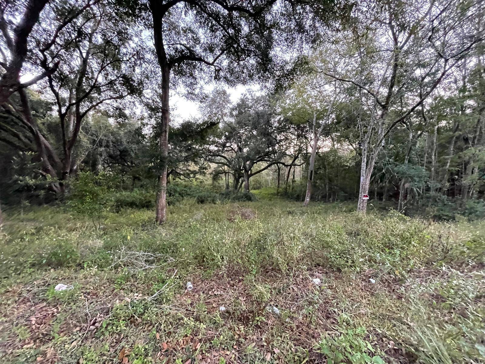 Belleview, FL 34420,TBD SE 128TH ST