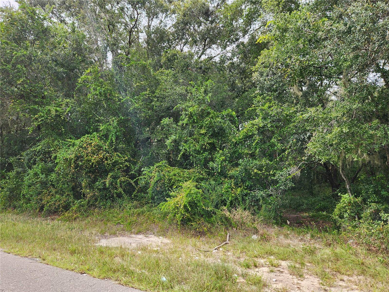 Ocklawaha, FL 32179,SE 141ST AVE