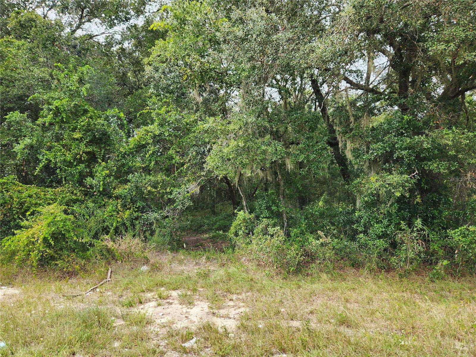 Ocklawaha, FL 32179,SE 141ST AVE