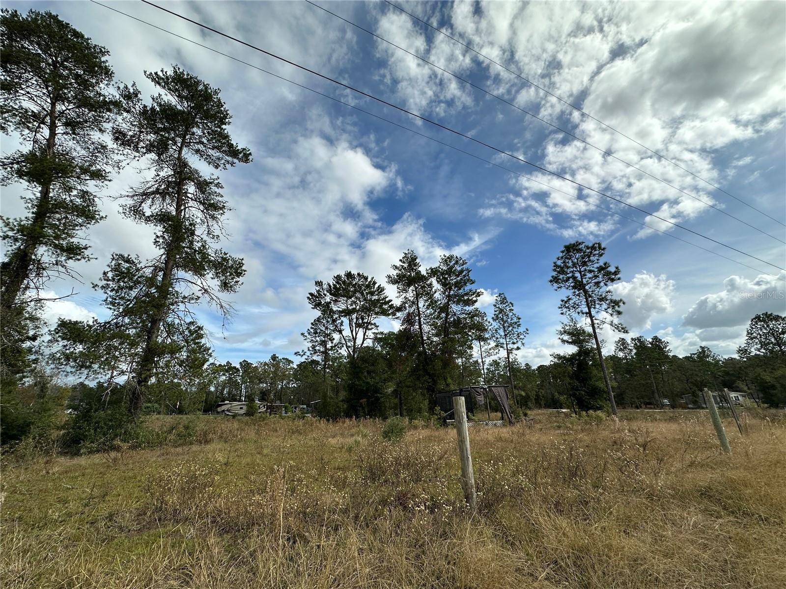 Williston, FL 32696,TBD NE 130TH AVE