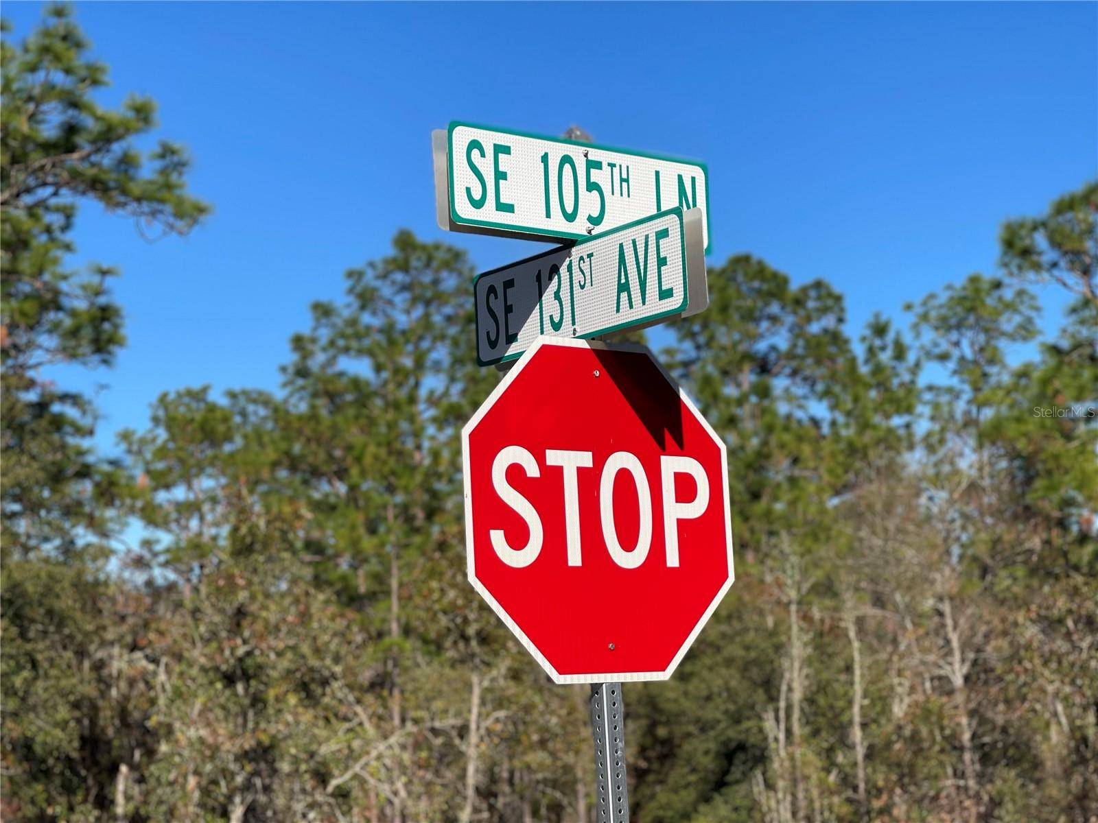 Dunnellon, FL 34431,Lot 1 SE 131ST AVE