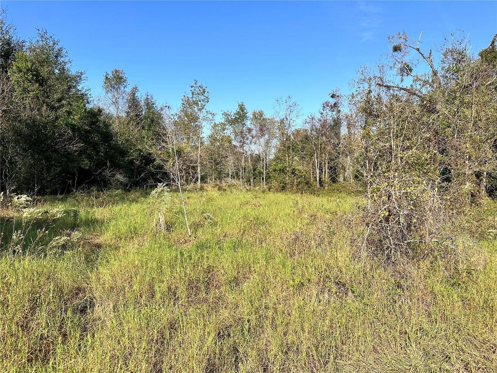 Summerfield, FL 34491,TBD SE 33RD TER