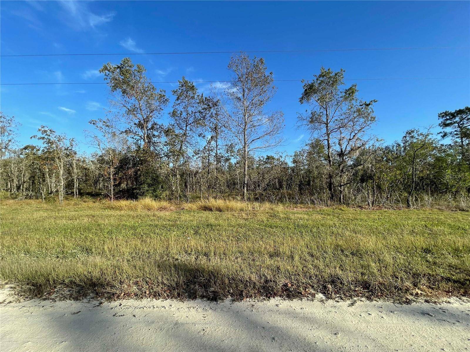 Morriston, FL 32668,Lot 13 SE 16 LN