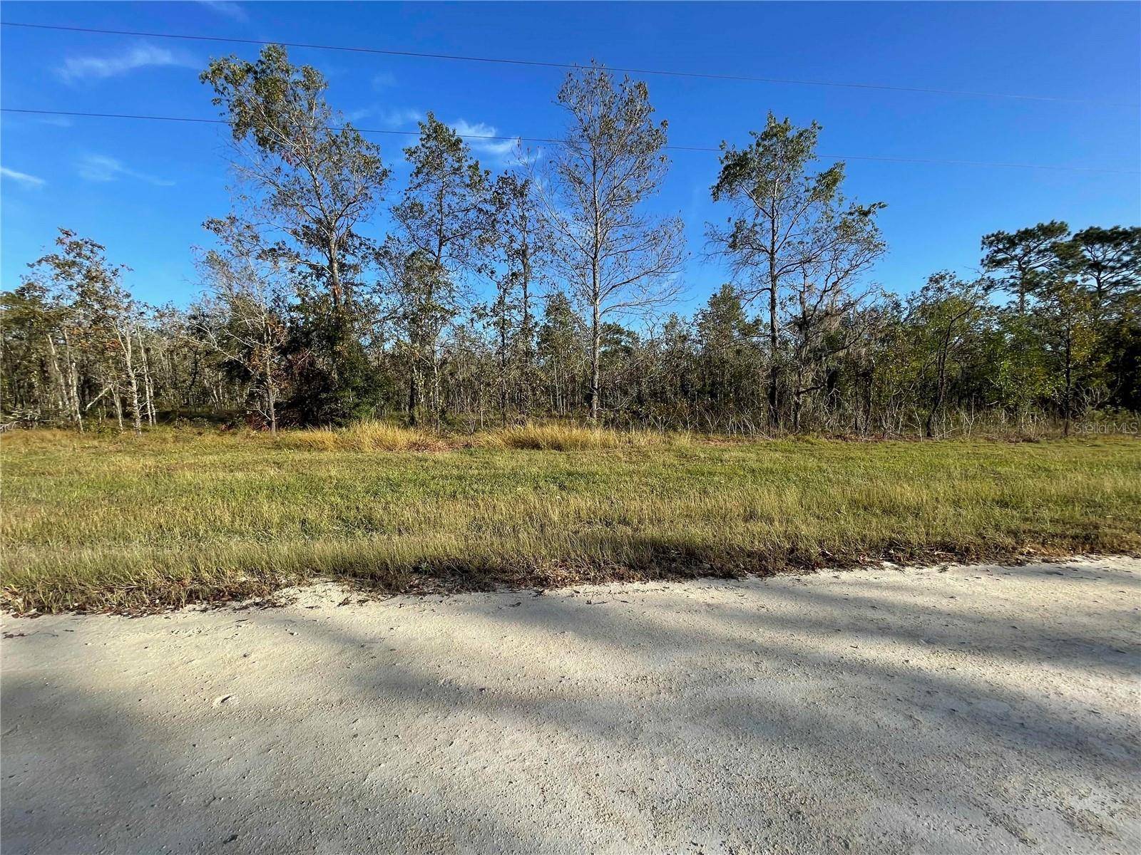 Morriston, FL 32668,Lot 13 SE 16 LN