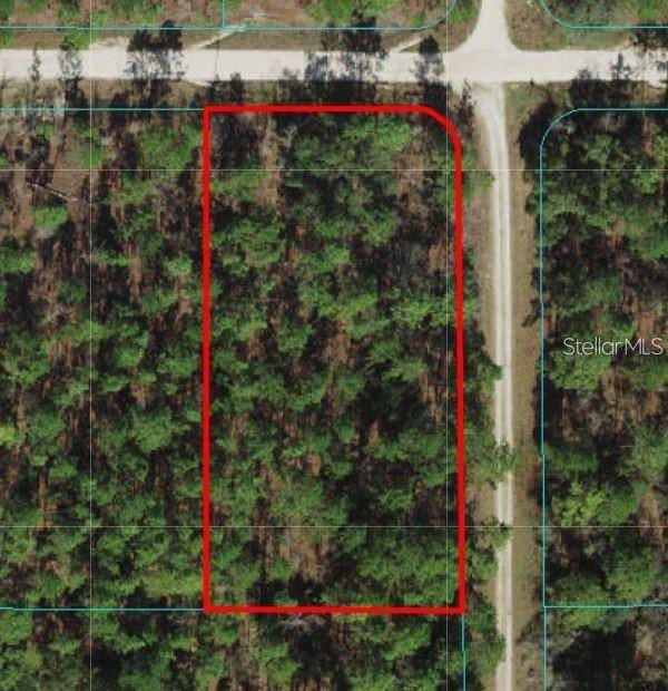 Dunnellon, FL 34432,TBD SW 78TH PL