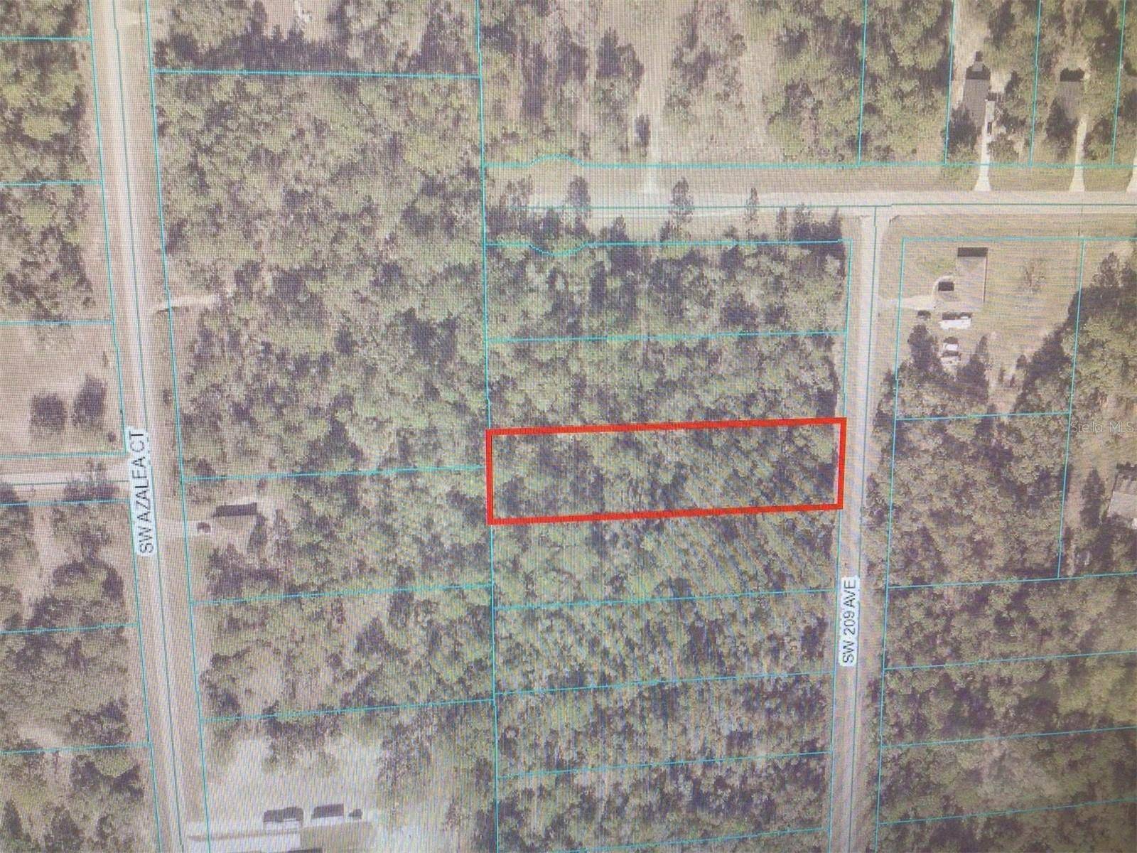 Dunnellon, FL 34432,0 SW 209 AVENUE